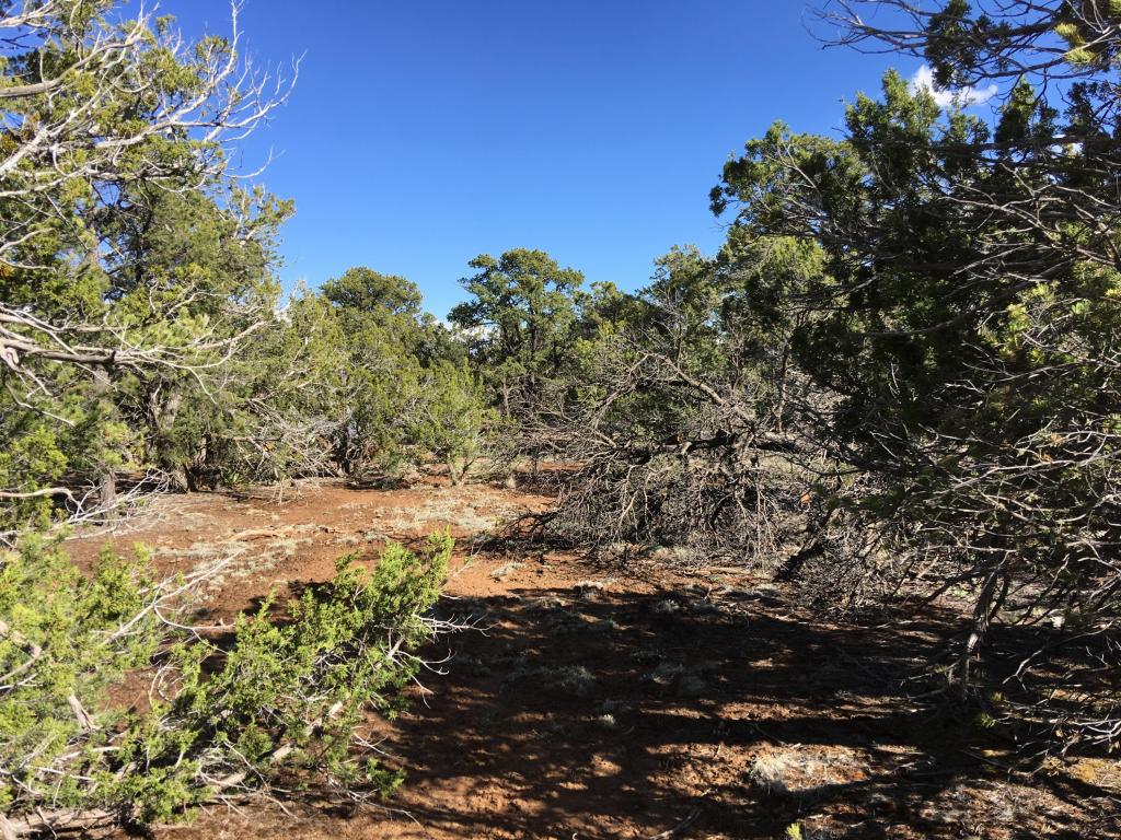 Lot 11 Bear Valley Road, Ramah, NM 87321