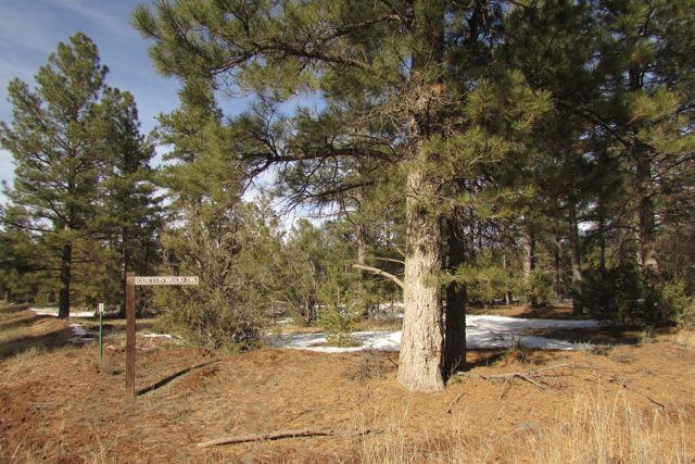 Lot 6 Cottonwood Drive, Ramah, NM 87321