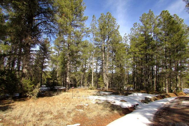 Lot 6 Cottonwood Drive, Ramah, NM 87321