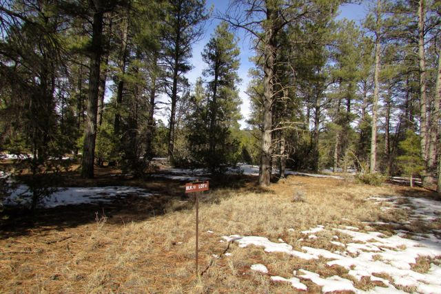 Lot 6 Cottonwood Drive, Ramah, NM 87321