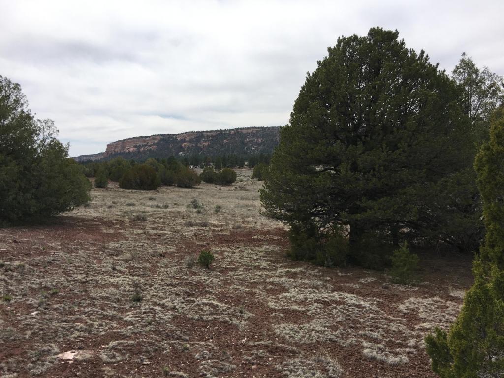 Lot 5 Ash Drive, Ramah, NM 87321