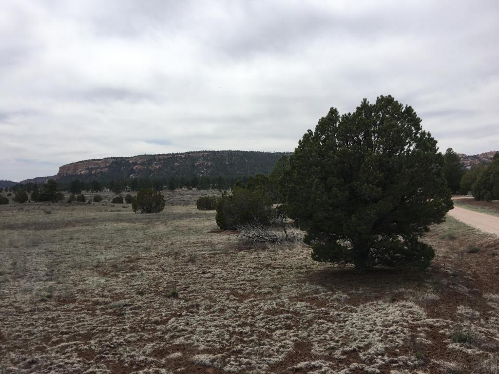 Lot 5 Ash Drive, Ramah, NM 87321