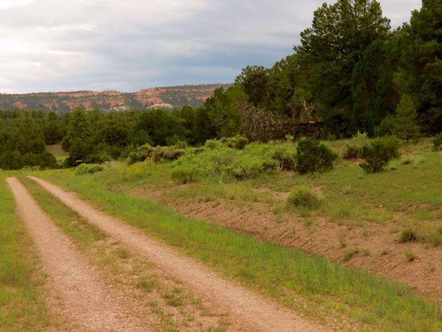 Lot 17 Sunflower Drive, Ramah, NM 87321