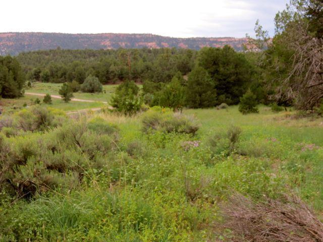 Lot 17 Sunflower Drive, Ramah, NM 87321