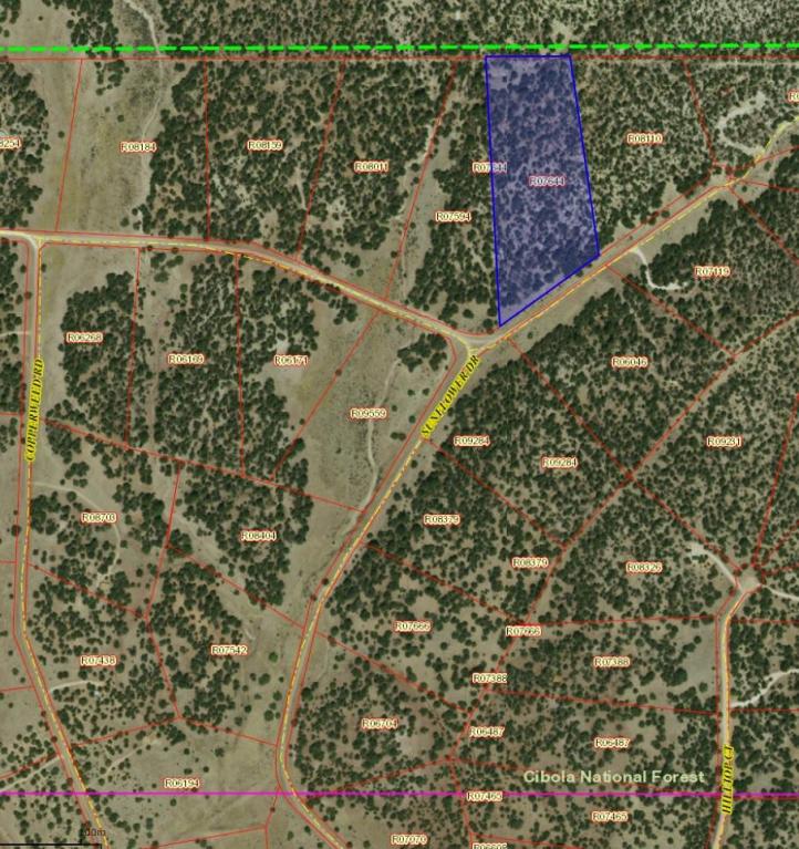Lot 17 Sunflower Drive, Ramah, NM 87321