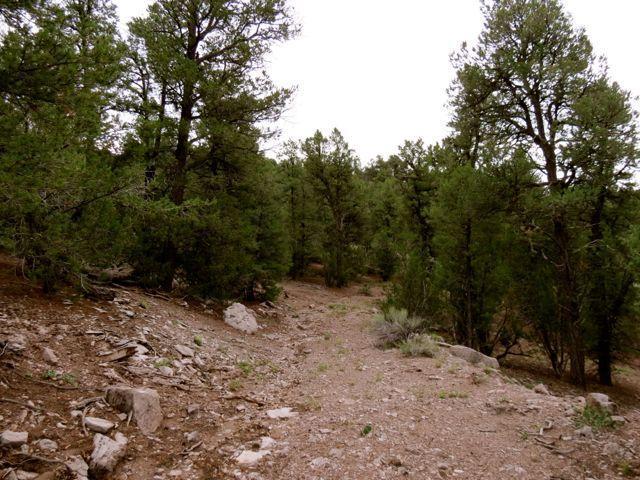 Lot 17 Sunflower Drive, Ramah, NM 87321