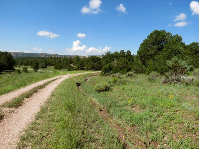 Lot 17 Sunflower Drive, Ramah, NM 87321