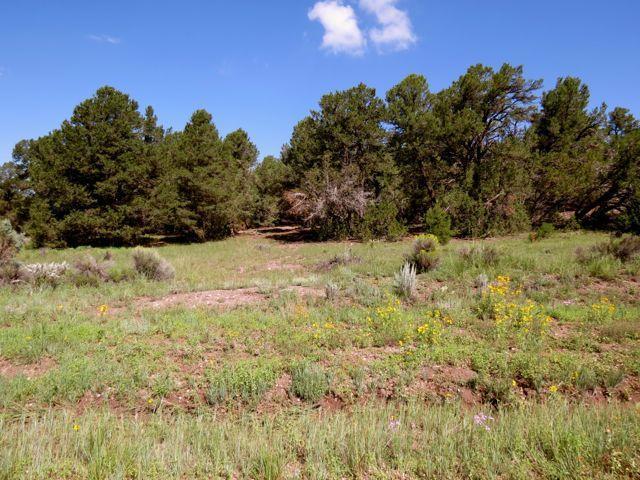 Lot 17 Sunflower Drive, Ramah, NM 87321