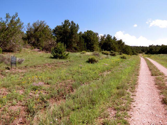 Lot 17 Sunflower Drive, Ramah, NM 87321