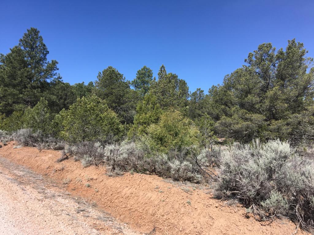 Lot 41 Elk Drive, Ramah, NM 87321