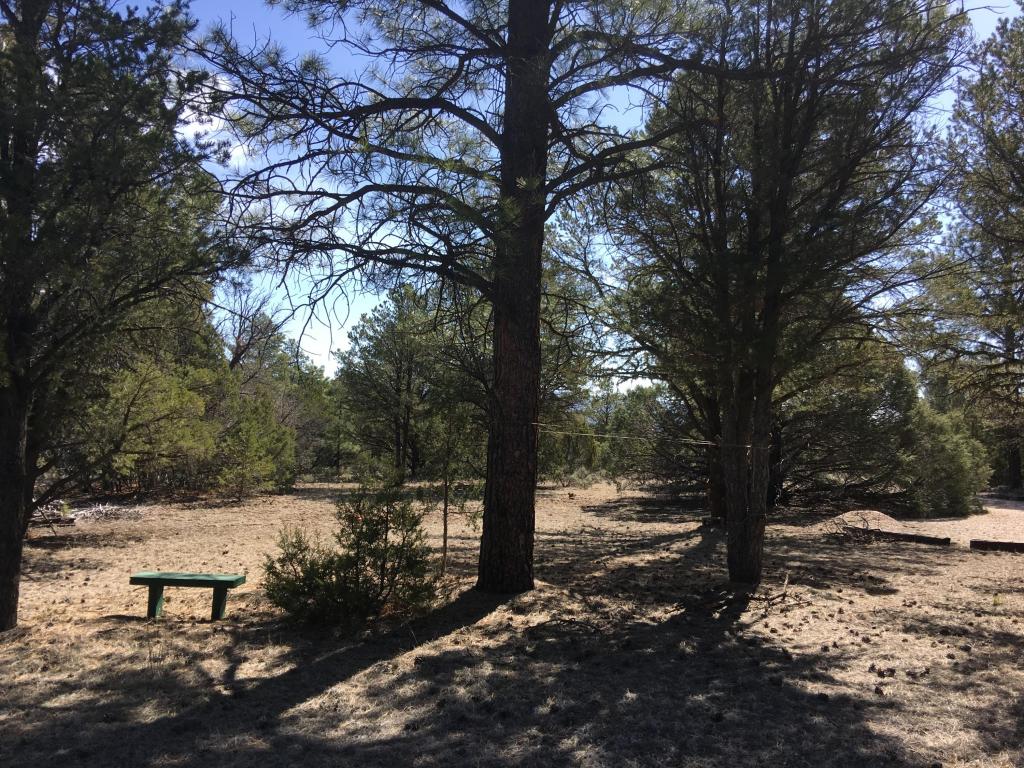 Lot 41 Elk Drive, Ramah, NM 87321