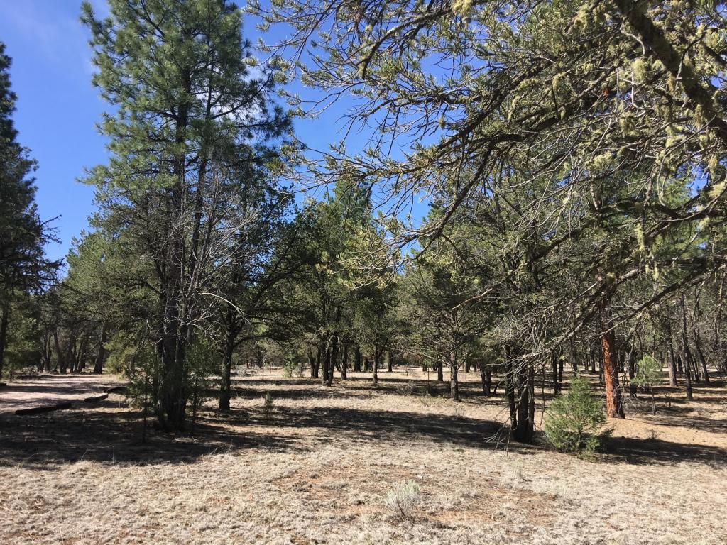Lot 41 Elk Drive, Ramah, NM 87321