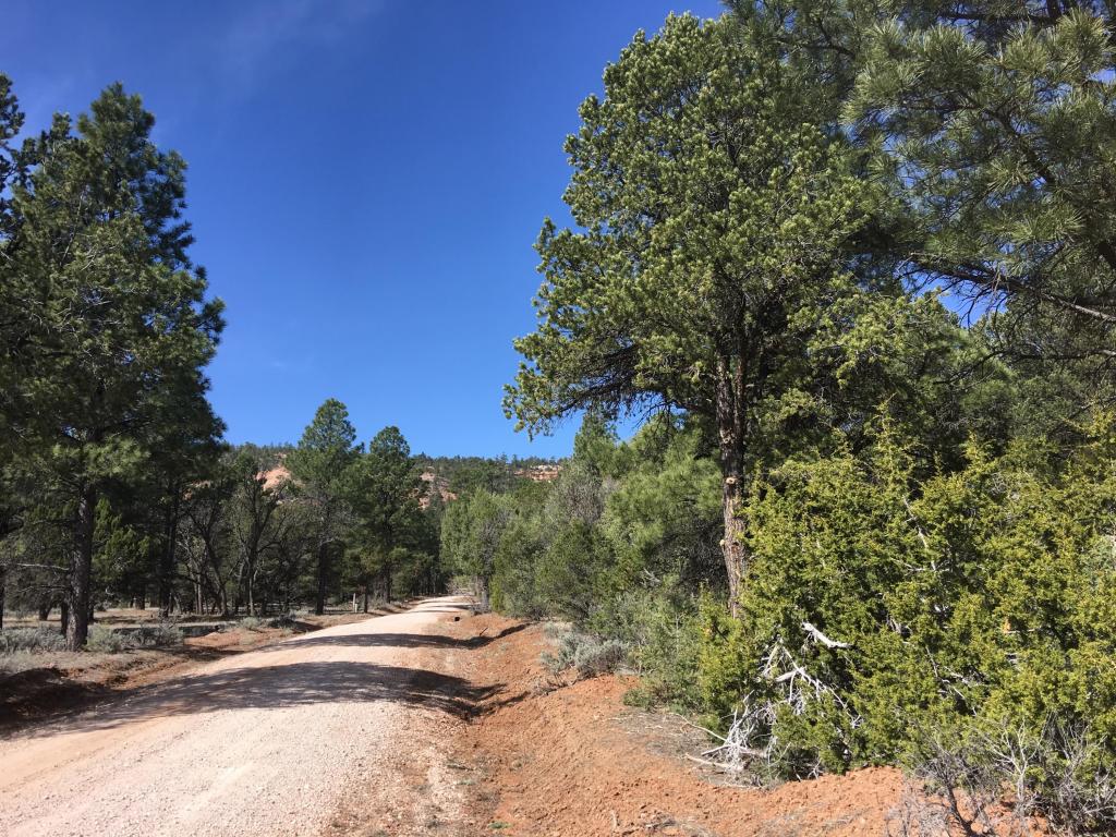 Lot 41 Elk Drive, Ramah, NM 87321