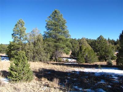 Lot 16 Buttonwood Drive, Ramah, NM 87321