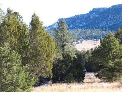Lot 16 Buttonwood Drive, Ramah, NM 87321