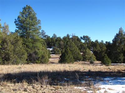 Lot 16 Buttonwood Drive, Ramah, NM 87321