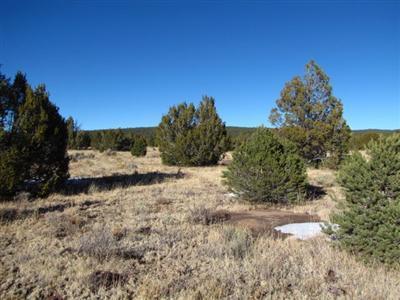 Lot 16 Buttonwood Drive, Ramah, NM 87321