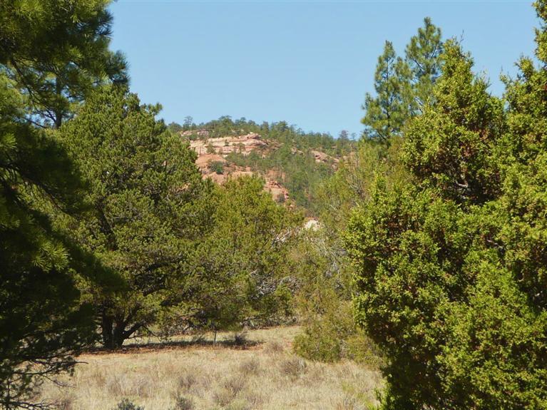 Lot 4 East Elk Drive, Ramah, NM 87321