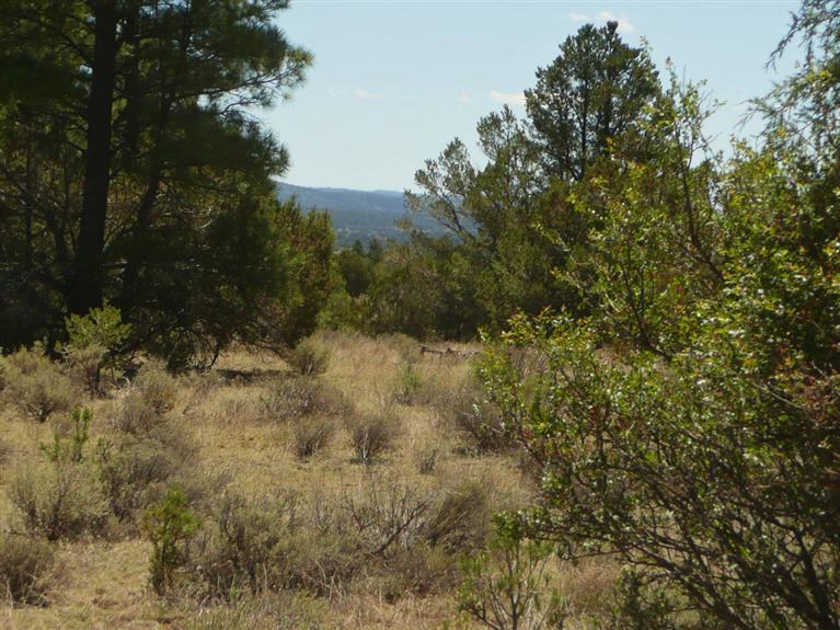 Lot 4 East Elk Drive, Ramah, NM 87321