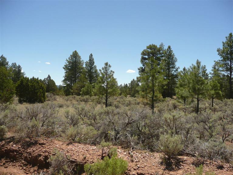Lot 4 East Elk Drive, Ramah, NM 87321