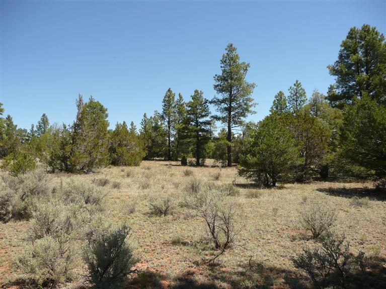 Lot 4 East Elk Drive, Ramah, NM 87321