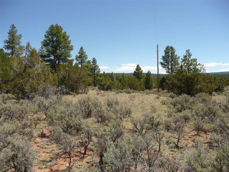 Lot 4 East Elk Drive, Ramah, NM 87321