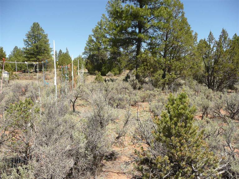 Lot 4 East Elk Drive, Ramah, NM 87321