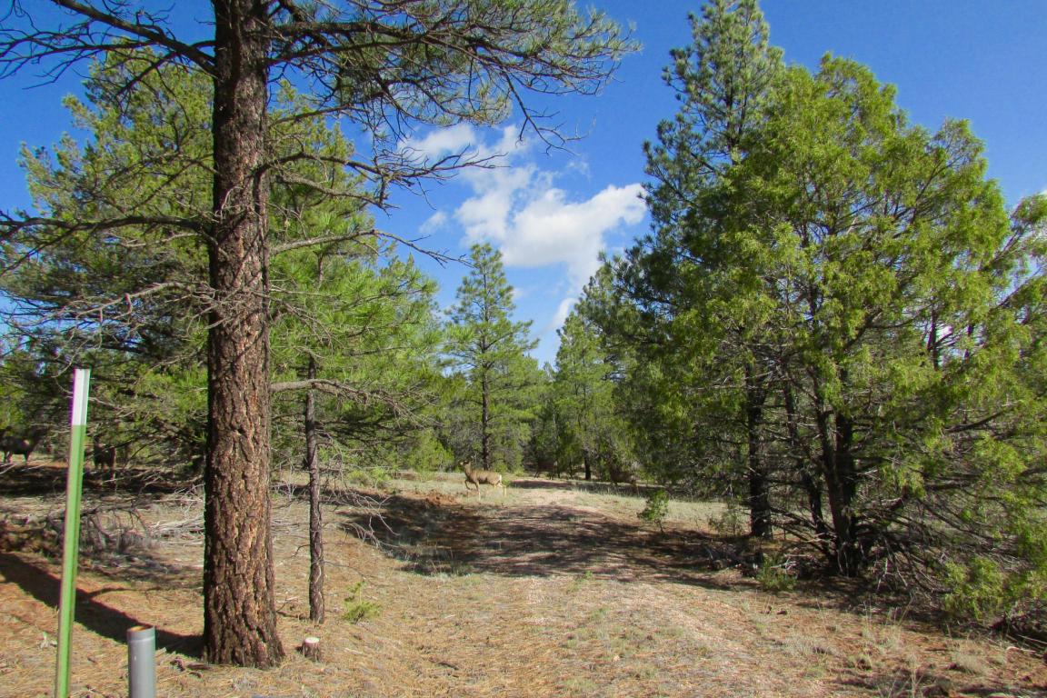 Lot 12 Culebra Road, Ramah, NM 87321