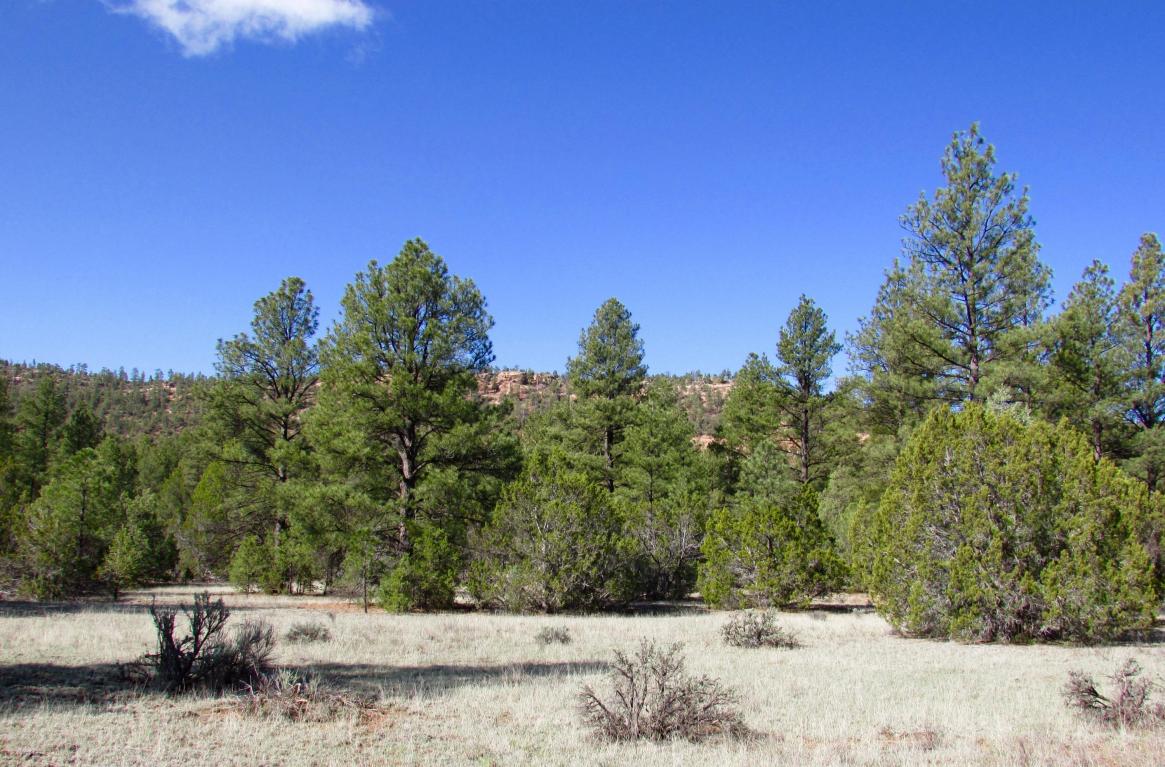 Lot 12 Culebra Road, Ramah, NM 87321
