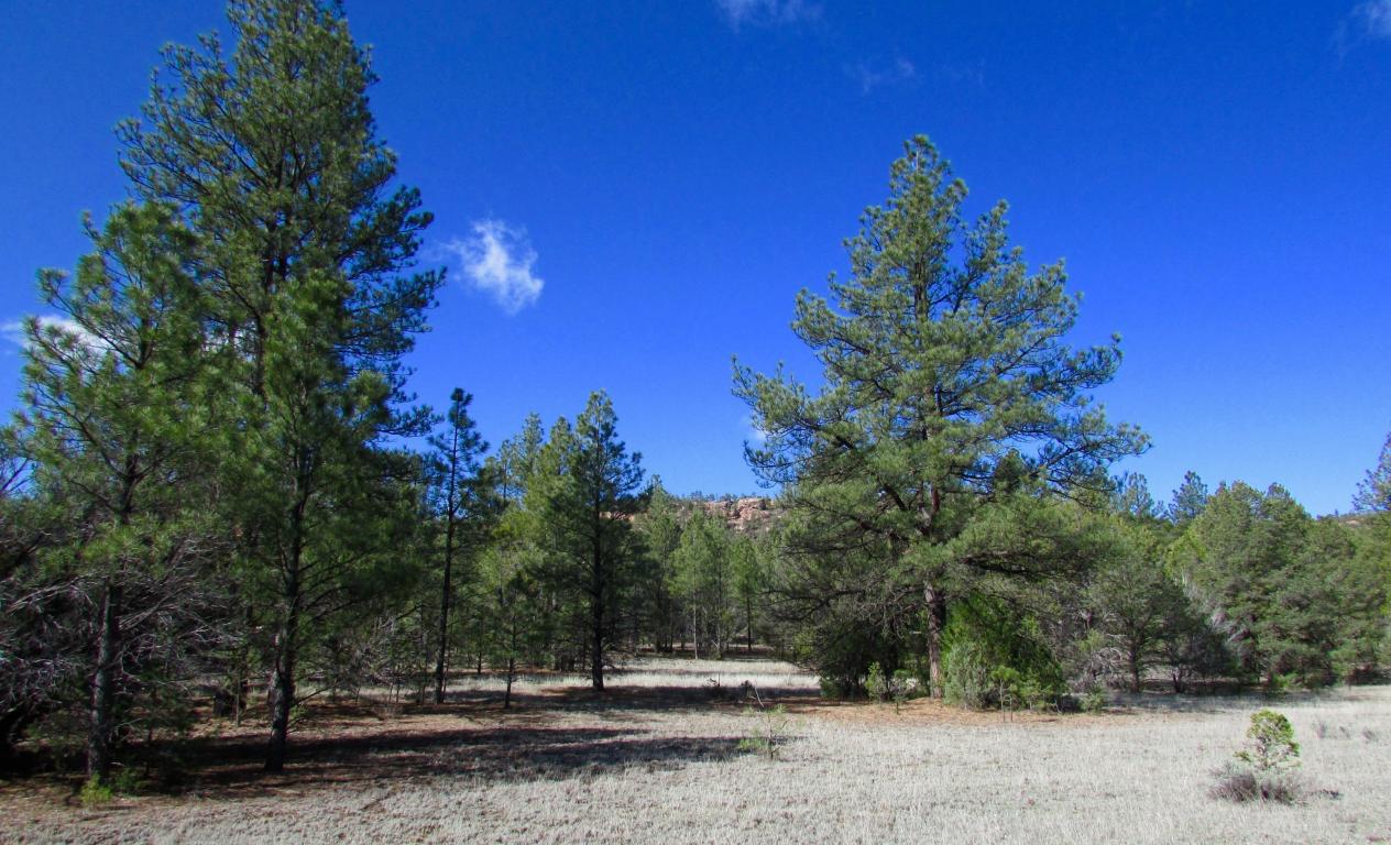 Lot 12 Culebra Road, Ramah, NM 87321