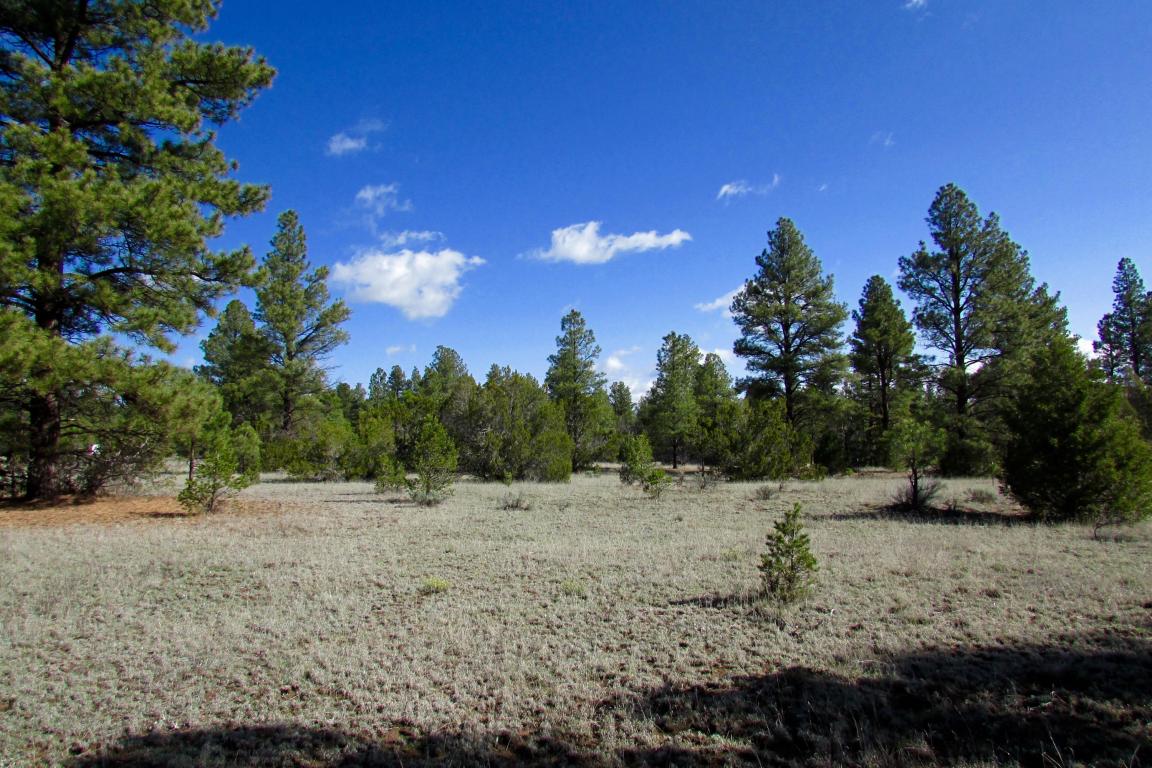 Lot 12 Culebra Road, Ramah, NM 87321