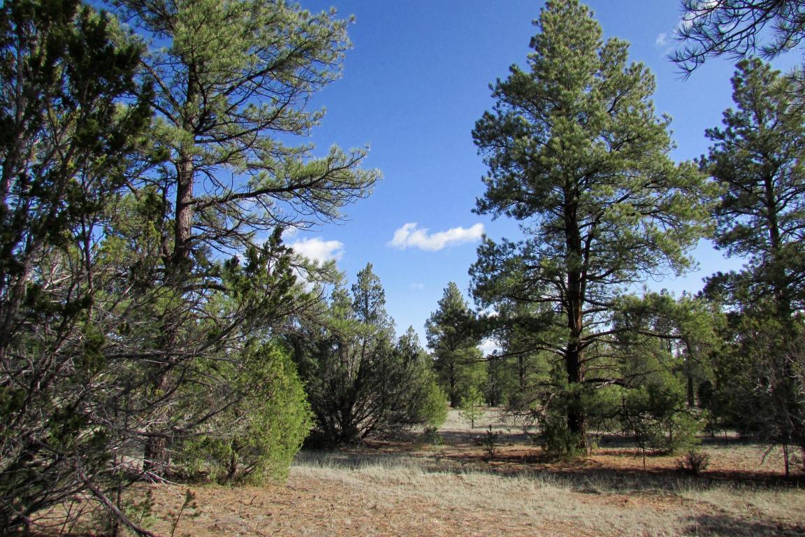 Lot 12 Culebra Road, Ramah, NM 87321