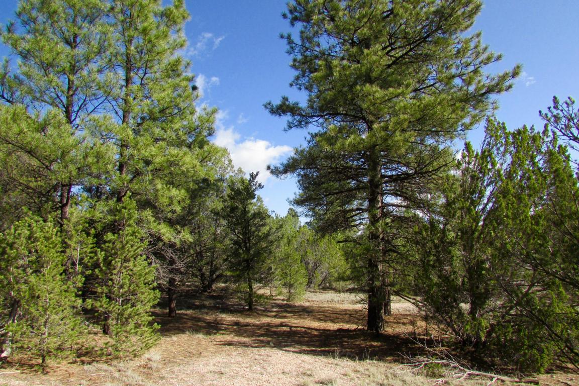 Lot 12 Culebra Road, Ramah, NM 87321