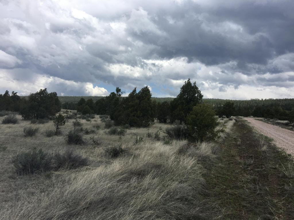 Lot 2 East Elk Road, Ramah, NM 87321