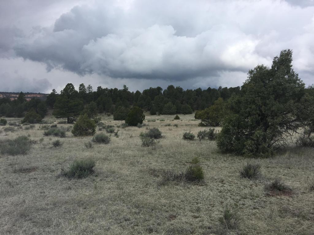 Lot 2 East Elk Road, Ramah, NM 87321