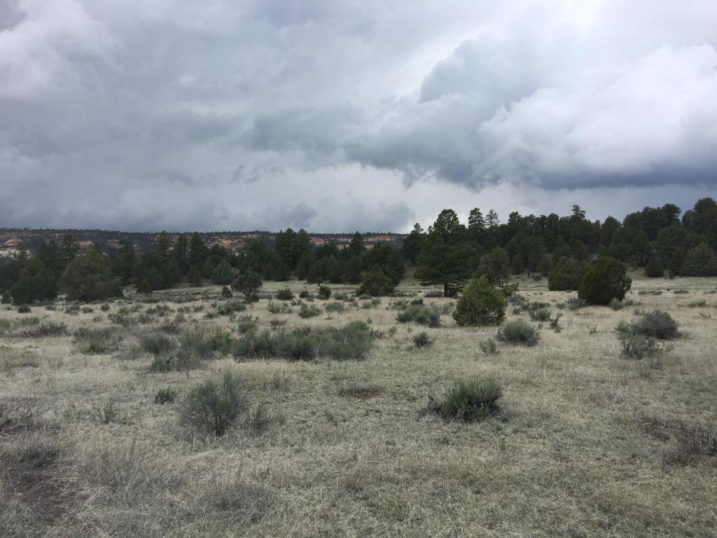 Lot 2 East Elk Road, Ramah, NM 87321