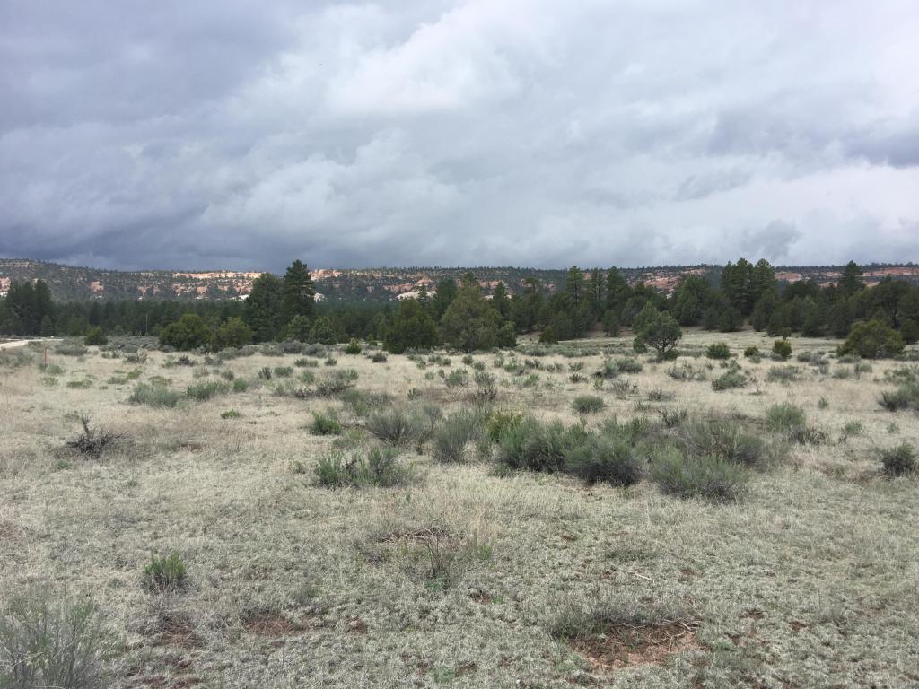 Lot 2 East Elk Road, Ramah, NM 87321