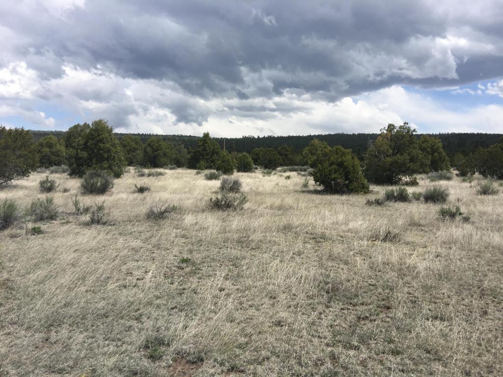 Lot 2 East Elk Road, Ramah, NM 87321