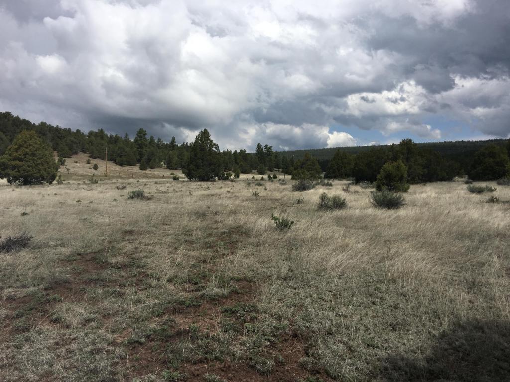 Lot 2 East Elk Road, Ramah, NM 87321