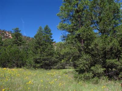 Lot 7 Halcon Road, Ramah, NM 87321