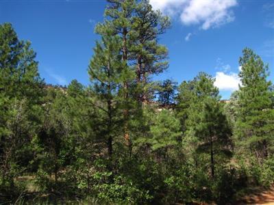 Lot 7 Halcon Road, Ramah, NM 87321