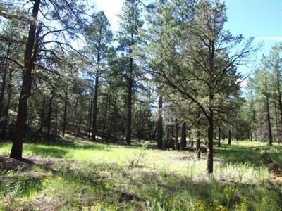 Lot 7 Halcon Road, Ramah, NM 87321