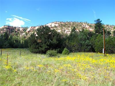 Lot 7 Halcon Road, Ramah, NM 87321