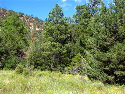 Lot 7 Halcon Road, Ramah, NM 87321