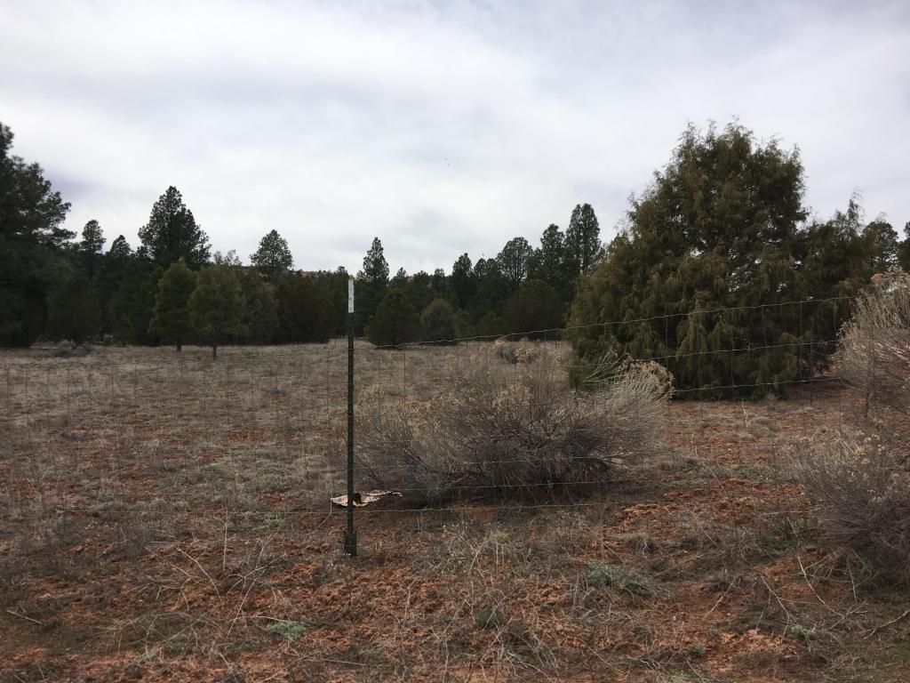 807 Timberlake Road, Ramah, NM 87321
