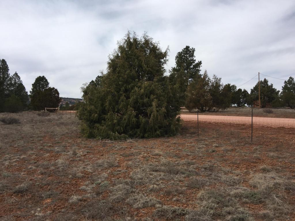 807 Timberlake Road, Ramah, NM 87321