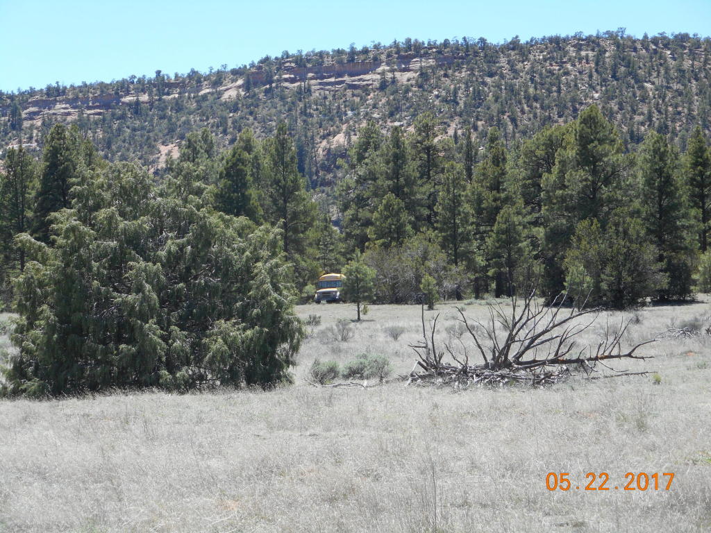 Green Eyed Lady Drive, Ramah, NM 87321