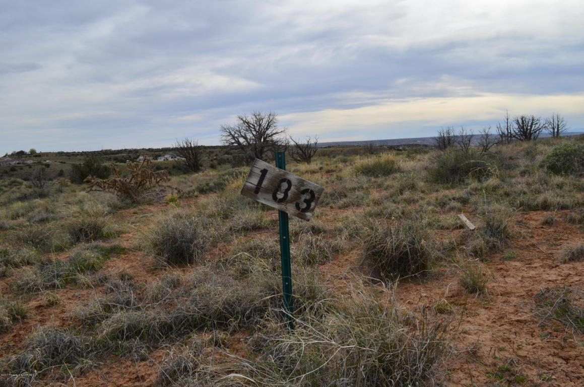 LOT 183ROAD 3783, Farmington, NM 87401