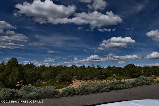 1920PLACITAS Trail, Farmington, NM 87401