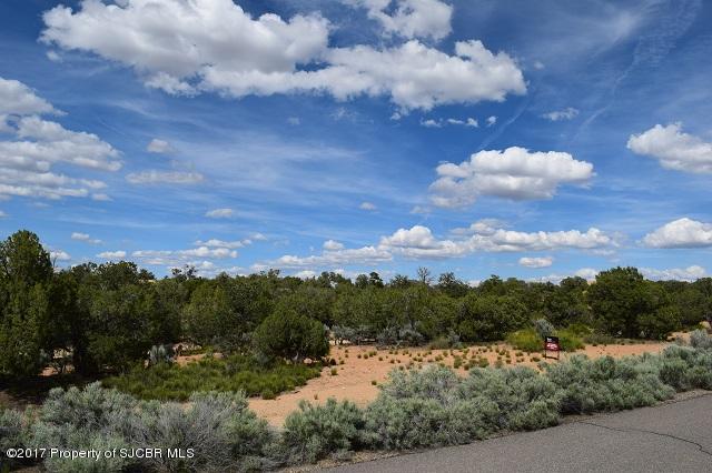 1920PLACITAS Trail, Farmington, NM 87401